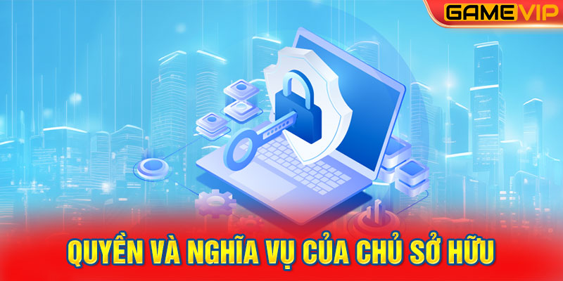 Quyền và nghĩa vụ của chủ sở hữu